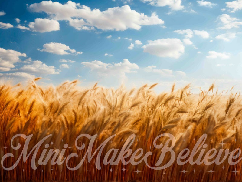 Kate Fine Art Soft Painted Boho Wheat Field Blue Skies- Backdrop Designed by Mini MakeBelieve