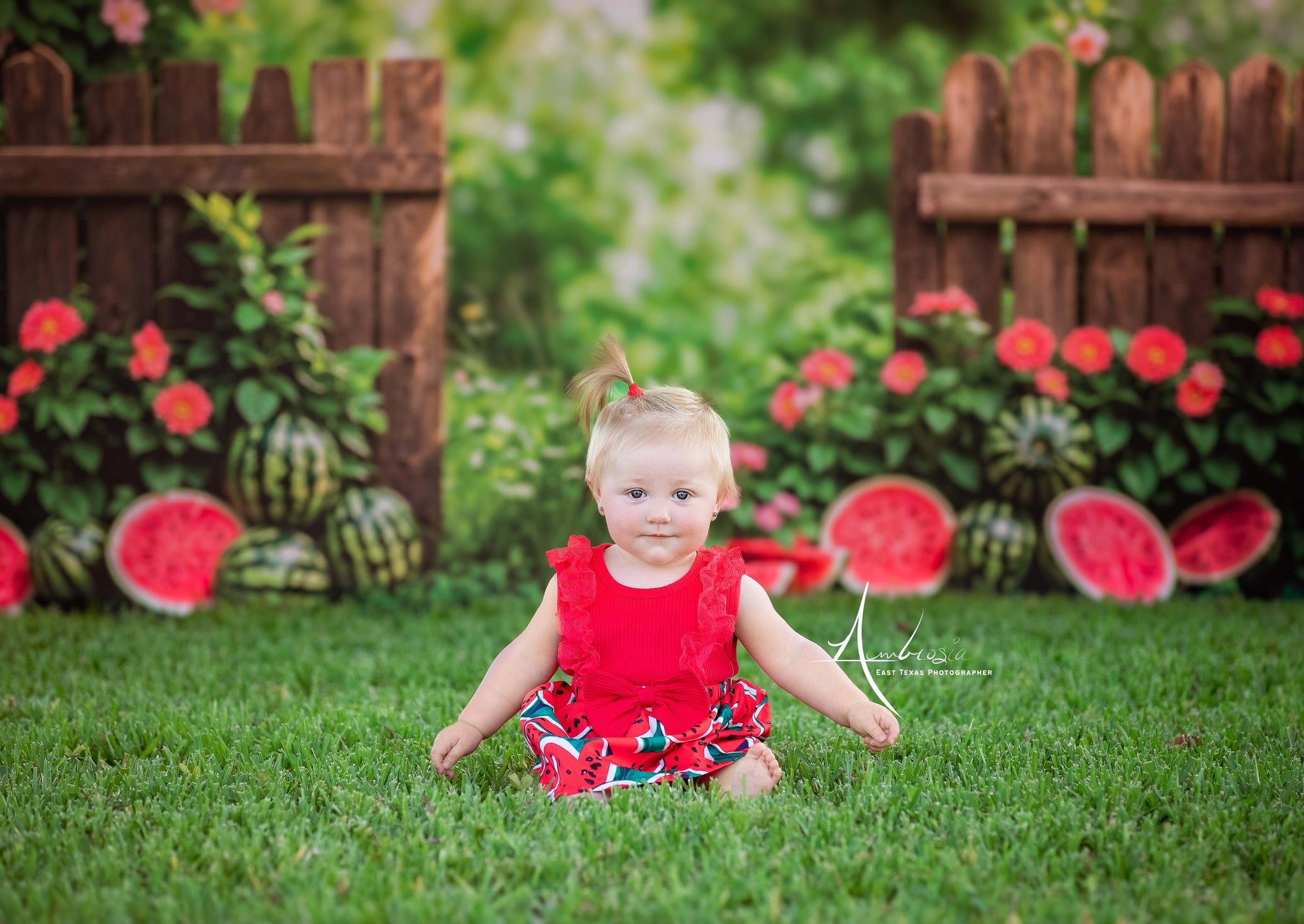 Lightning Deals-1 Kate Summer Watermelon Fence Backdrop Designed by Emetselch