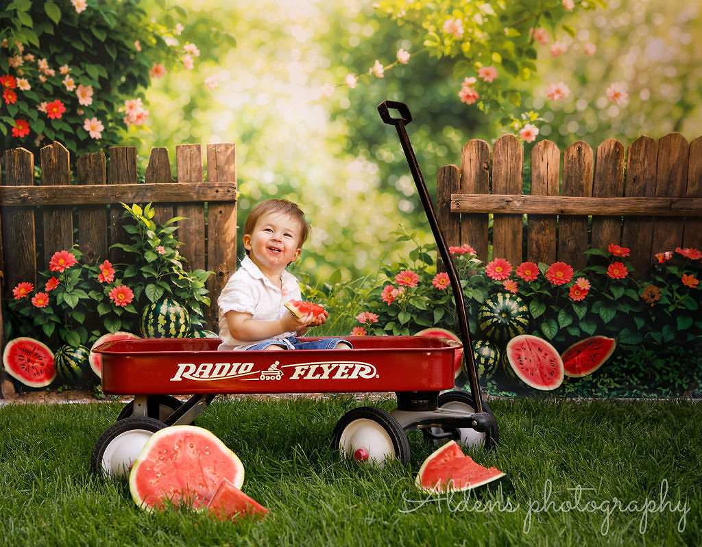 Kate Summer Watermelon Fence Backdrop for Photography