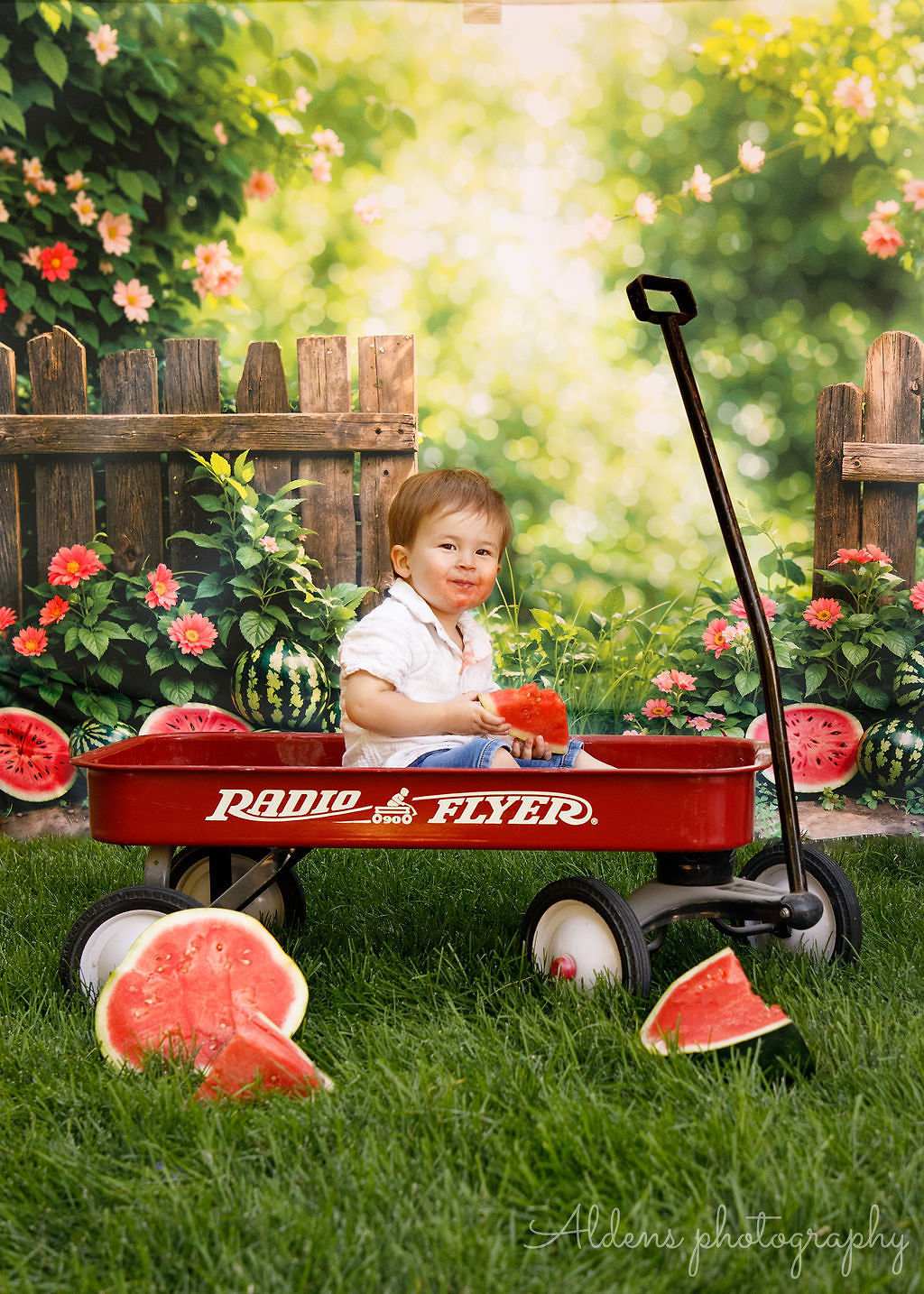 Lightning Deals-1 Kate Summer Watermelon Fence Backdrop Designed by Emetselch