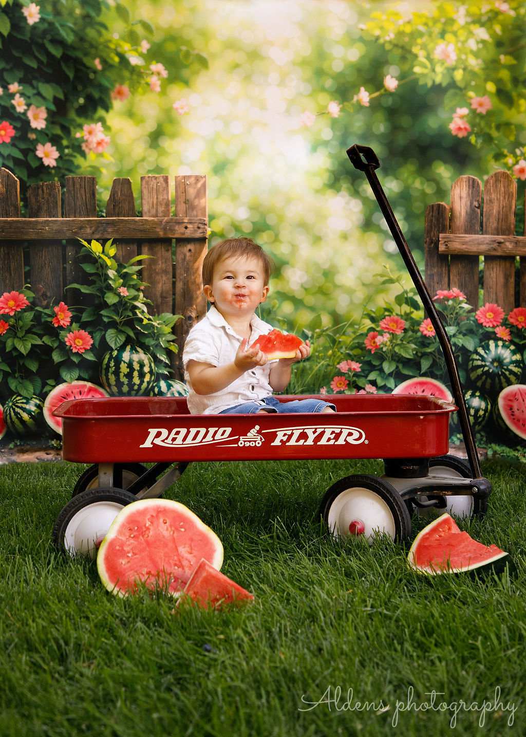 Kate Summer Watermelon Fence Backdrop for Photography