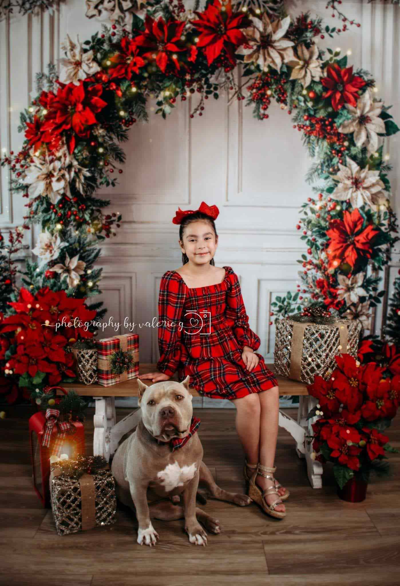 Kate Christmas Flower Arch White Wall Backdrop Designed by Emetselch