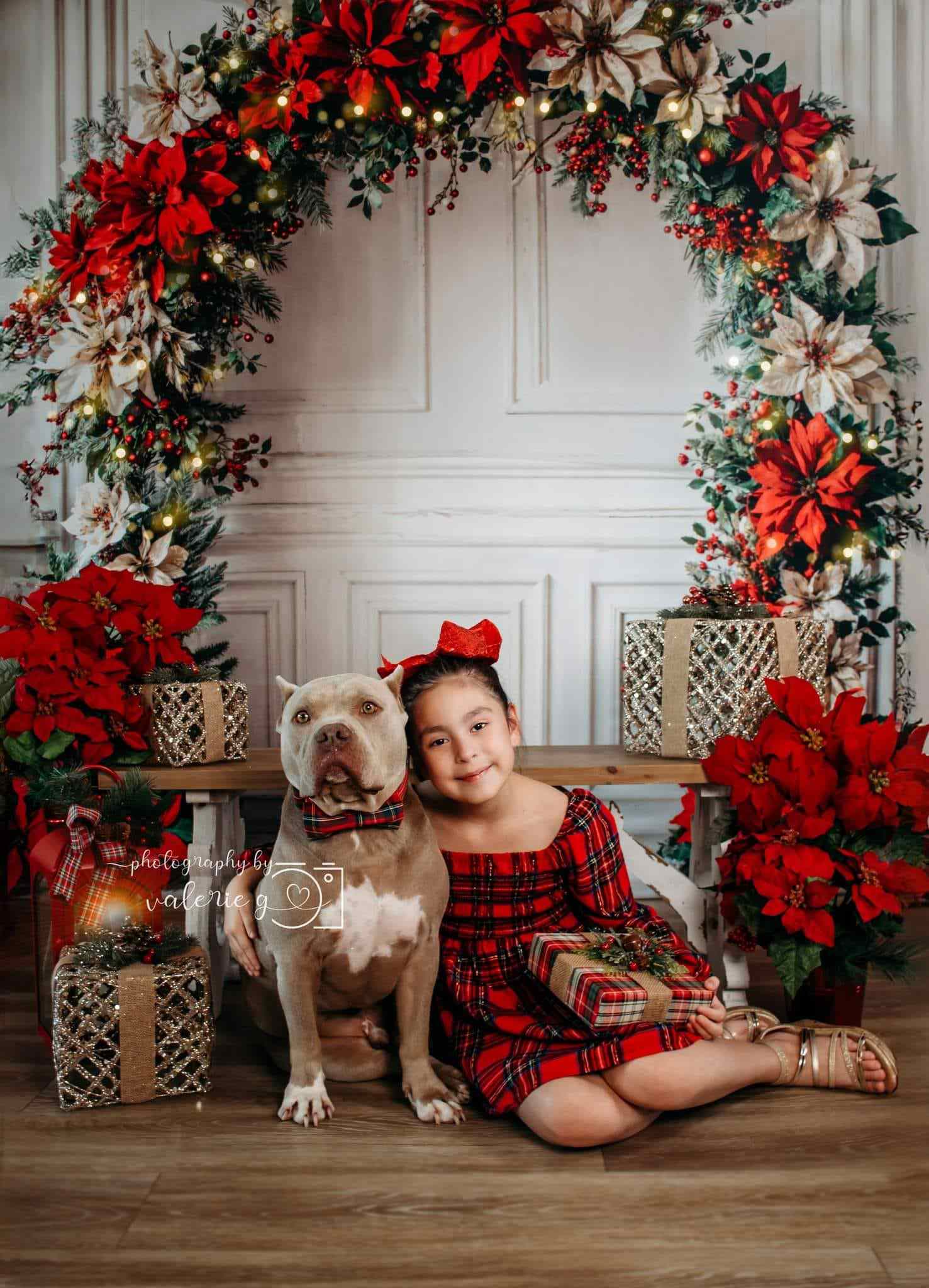 Kate Christmas Flower Arch White Wall Backdrop Designed by Emetselch