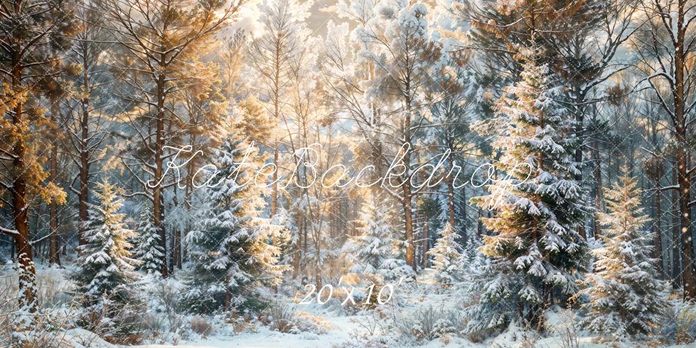 Kate Winter Snow Pine Forest Backdrop Designed by Chain Photography