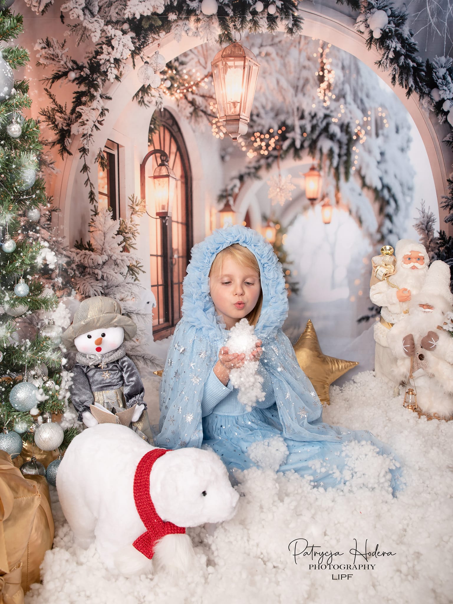 Kate Winter Retro White Flower Christmas Arch Hallway Backdrop+Winter White Snow Floor Backdrop