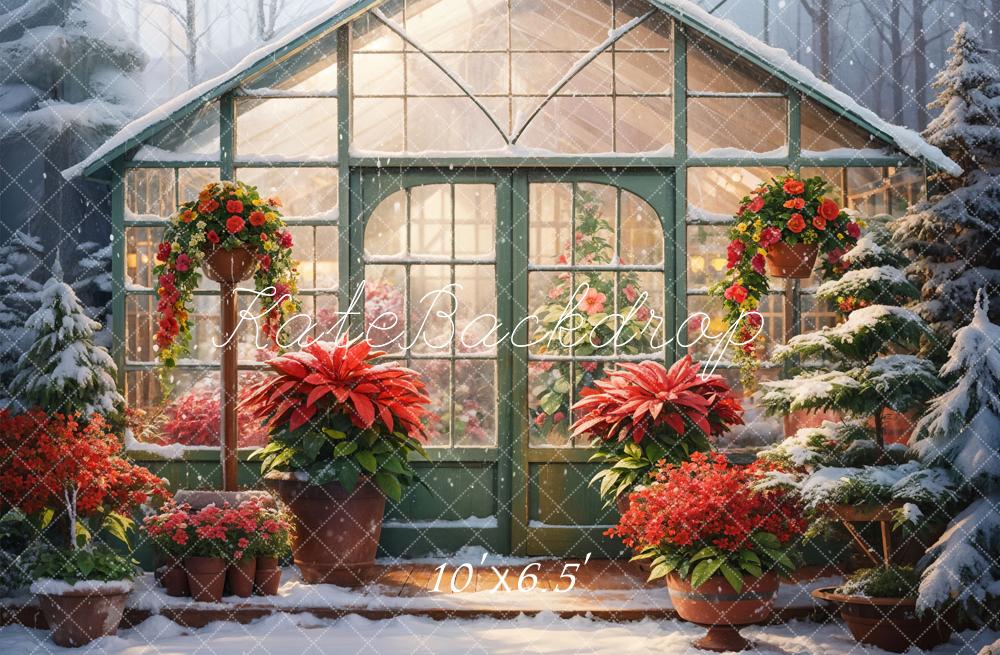 Kate Winter Snow Red Flower Greenhouse Backdrop Designed by GQ