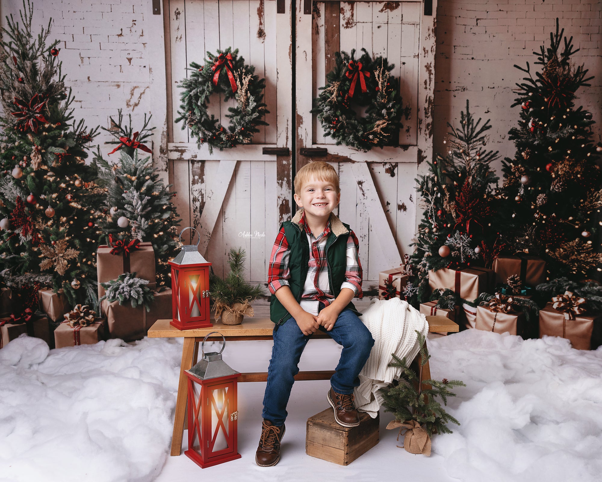 Kate Christmas Backdrop White Shabby Barn Door Designed by Emetselch