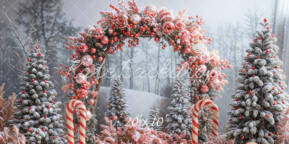 Kate Winter Forest Christmas Tree Arch Backdrop Designed by Emetselch