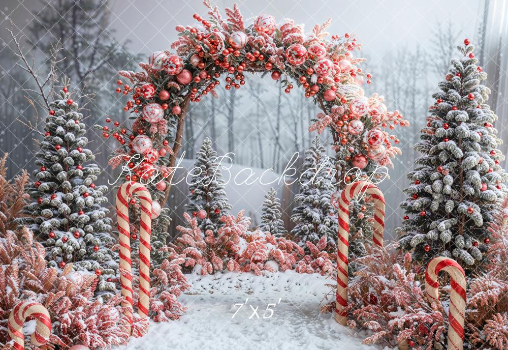 Kate Winter Forest Christmas Tree Arch Backdrop Designed by Emetselch