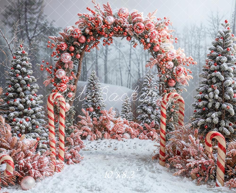 Kate Winter Forest Christmas Tree Arch Backdrop Designed by Emetselch