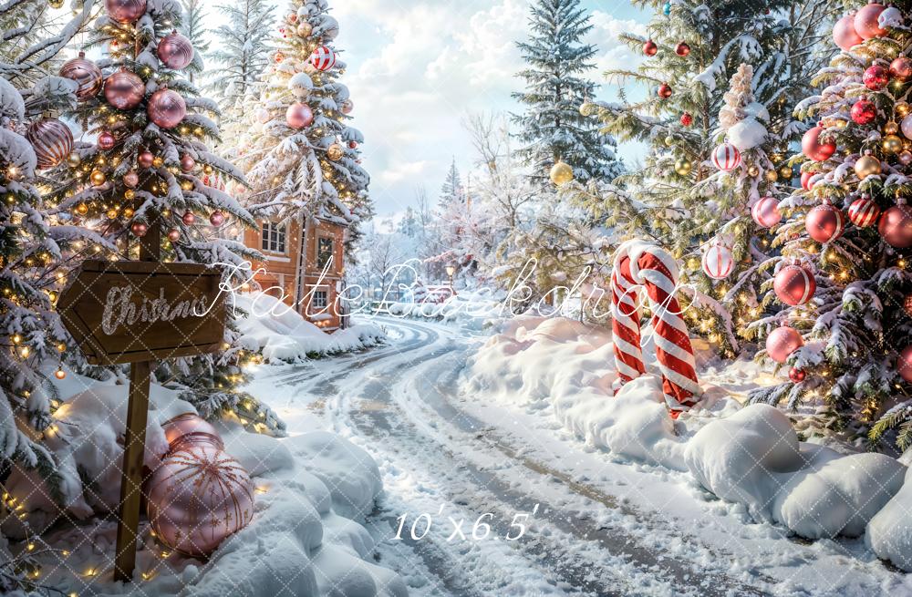 Kate Christmas Outdoor Forest Path Backdrop Designed by Emetselch