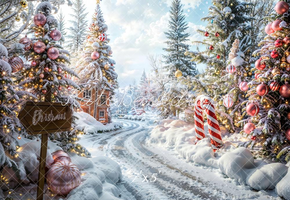 Kate Christmas Outdoor Forest Path Backdrop Designed by Emetselch