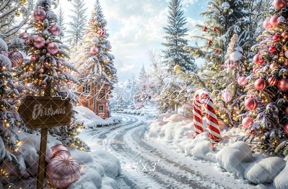 Kate Christmas Outdoor Forest Path Backdrop Designed by Emetselch