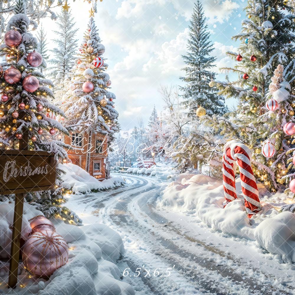 Kate Christmas Outdoor Forest Path Backdrop Designed by Emetselch