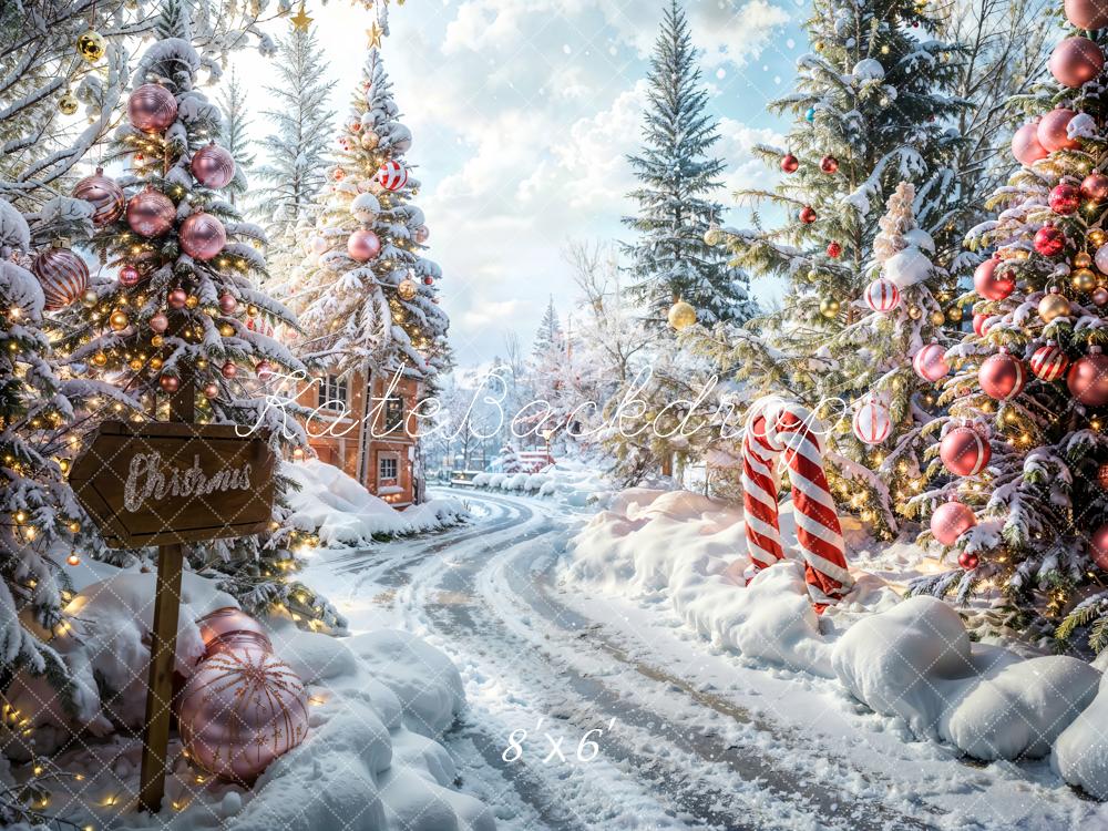 Kate Christmas Outdoor Forest Path Backdrop Designed by Emetselch