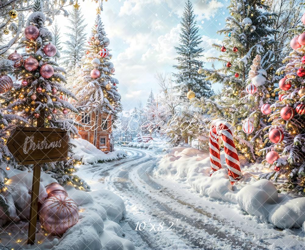 Kate Christmas Outdoor Forest Path Backdrop Designed by Emetselch