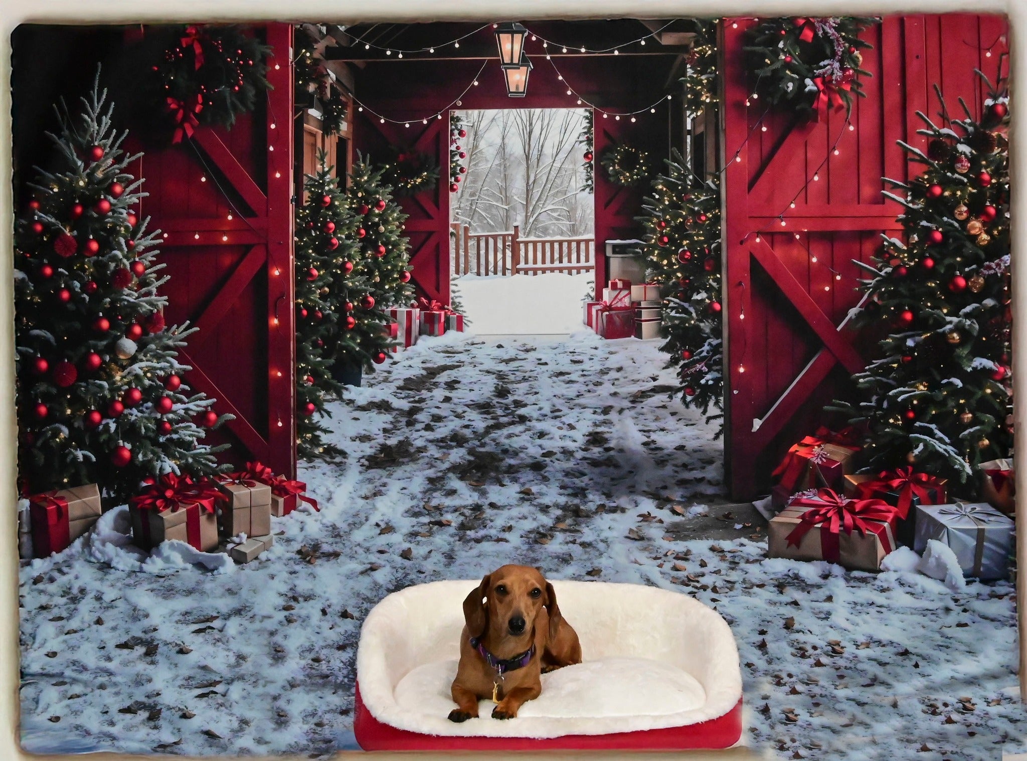 Kate Winter Red Log House Christmas Tree Backdrop Designed by Emetselch