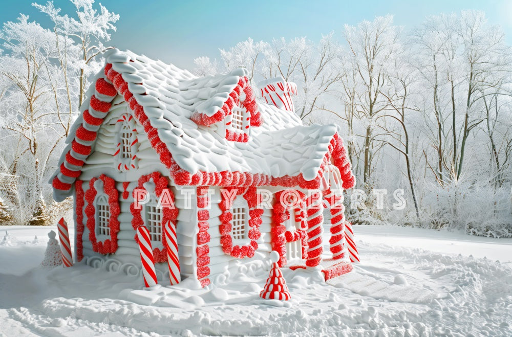 Kate Snow Covered Christmas House Backdrop Designed by Patty Robert