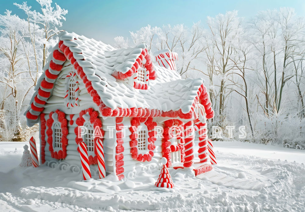 Kate Snow Covered Christmas House Backdrop Designed by Patty Robert