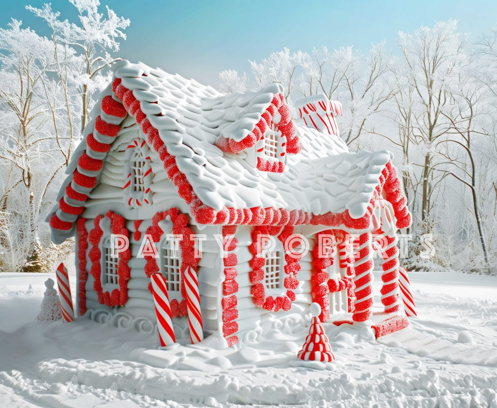 Kate Snow Covered Christmas House Backdrop Designed by Patty Robert