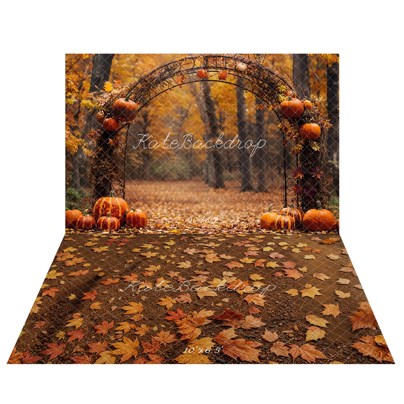 Kate Autumn Arched Woods Pumpkins Backdrop+Fallen Leaves Floor Backdrop