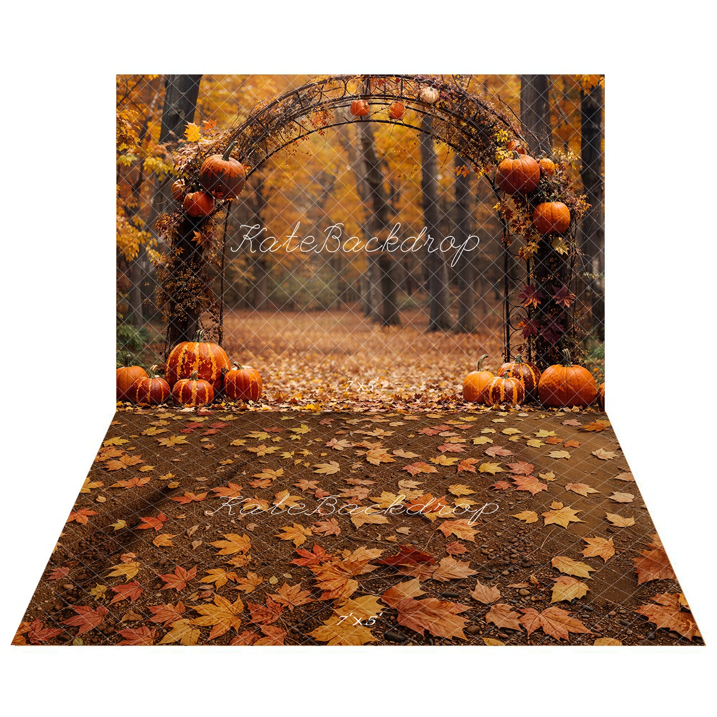 Kate Autumn Arched Woods Pumpkins Backdrop+Fallen Leaves Floor Backdrop