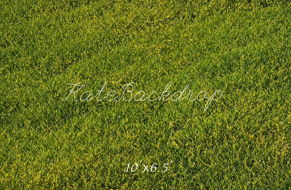 Kate Green Grass Field Floor Backdrop Designed by Emetselch