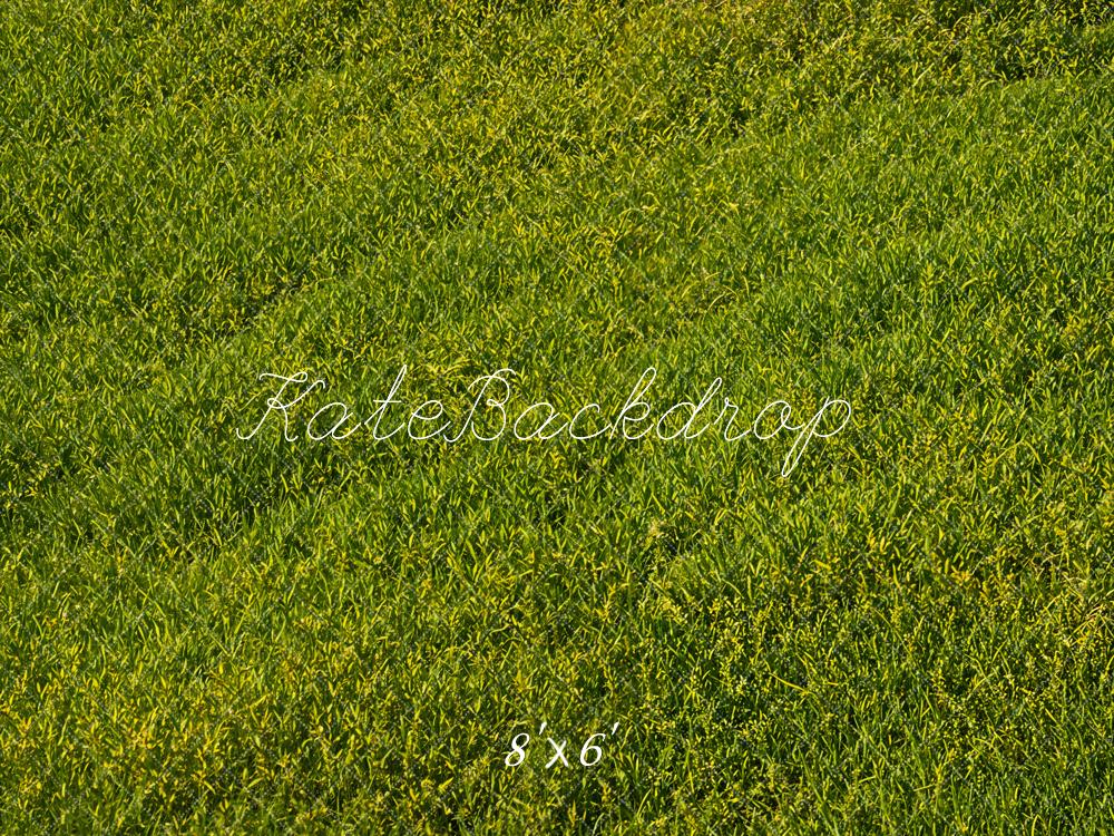 Kate Green Grass Field Floor Backdrop Designed by Emetselch