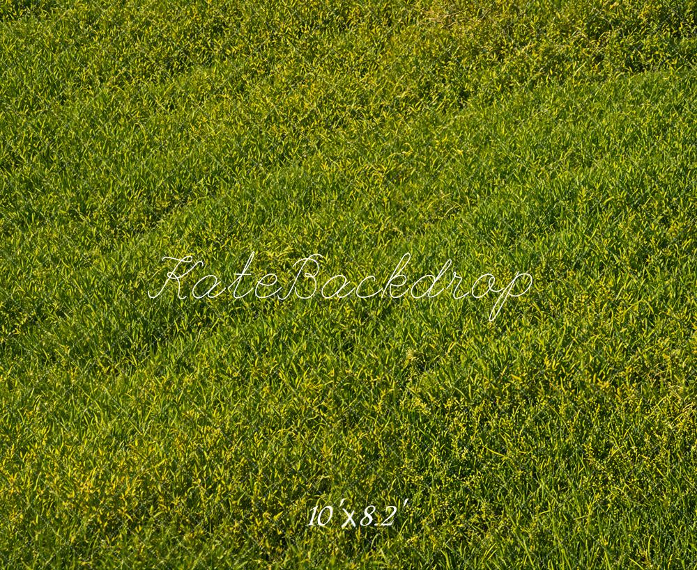 Kate Green Grass Field Floor Backdrop Designed by Emetselch