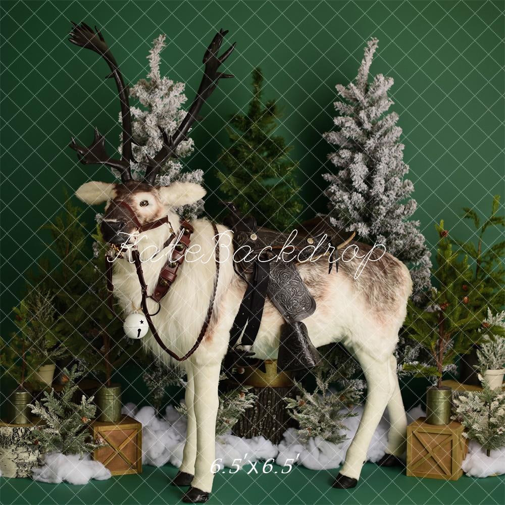 Kate Winter Reindeer on Green Backdrop Designed by Mandy Ringe Photography