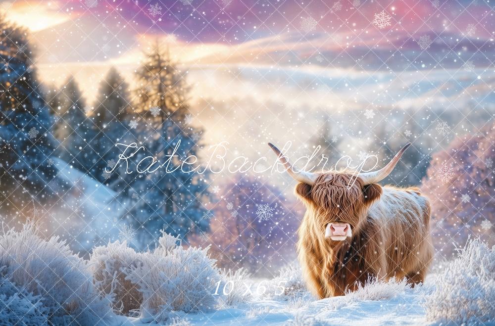 Kate Winter Highland Cow Backdrop Designed by Patty Robert