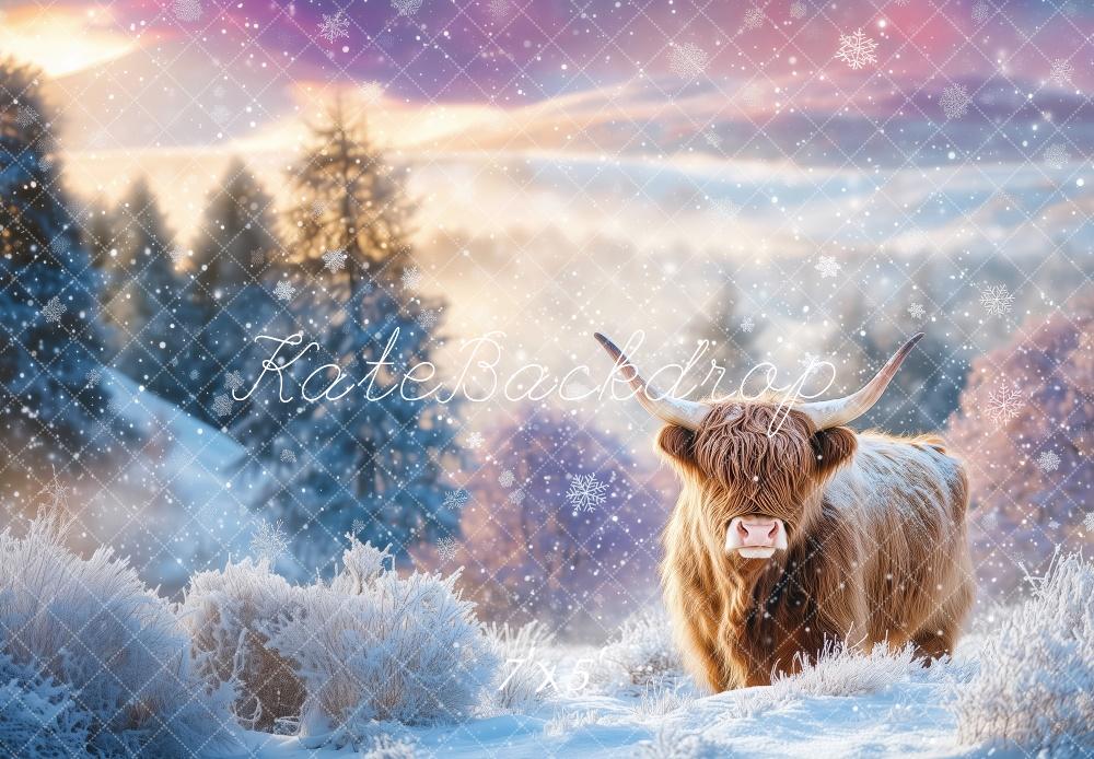 Kate Winter Highland Cow Backdrop Designed by Patty Robert