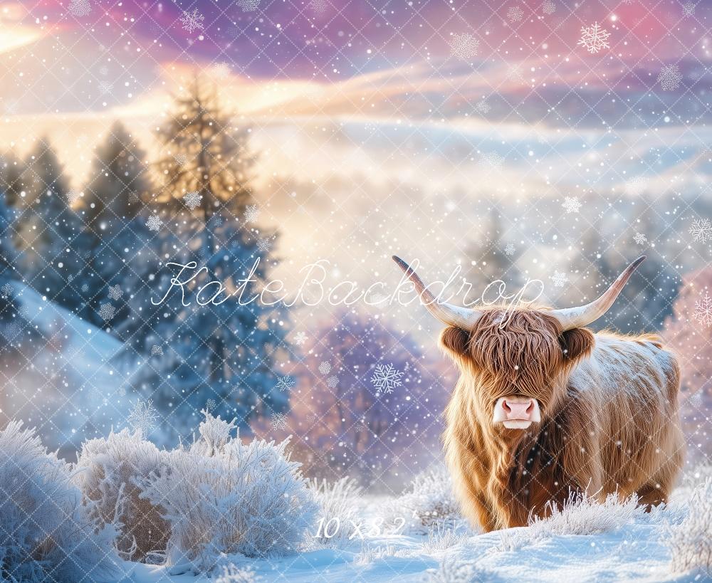 Kate Winter Highland Cow Backdrop Designed by Patty Robert