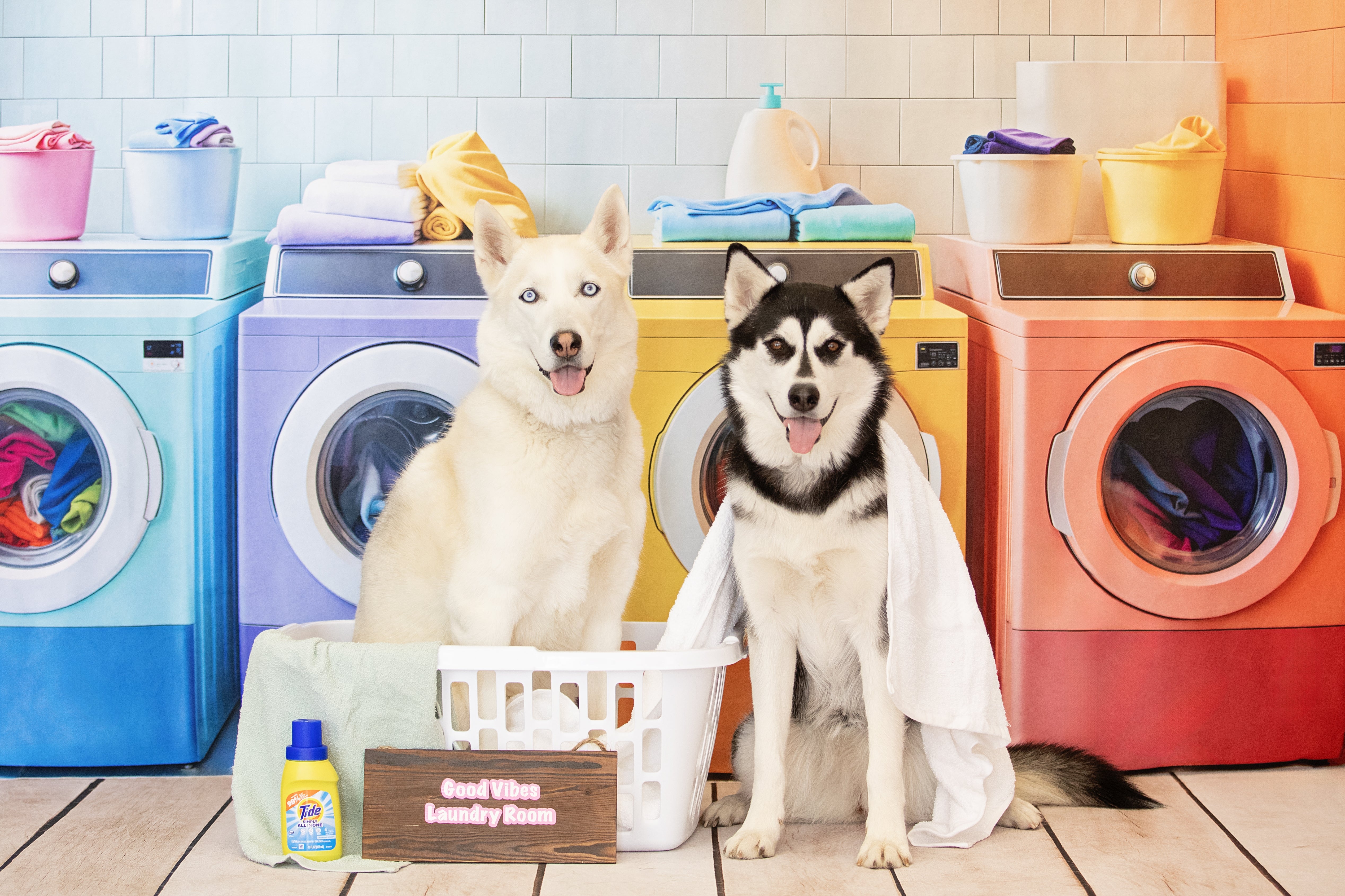 Kate Colorful Laundry Room Backdrop Designed by Emetselch