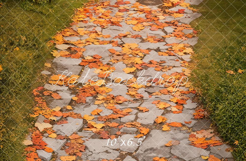 Kate Fleece Autumn Leaves Road Backdrop Designed by Emetselch