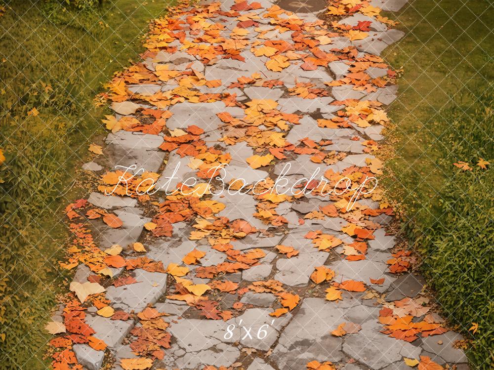 Kate Fleece Autumn Leaves Road Backdrop Designed by Emetselch