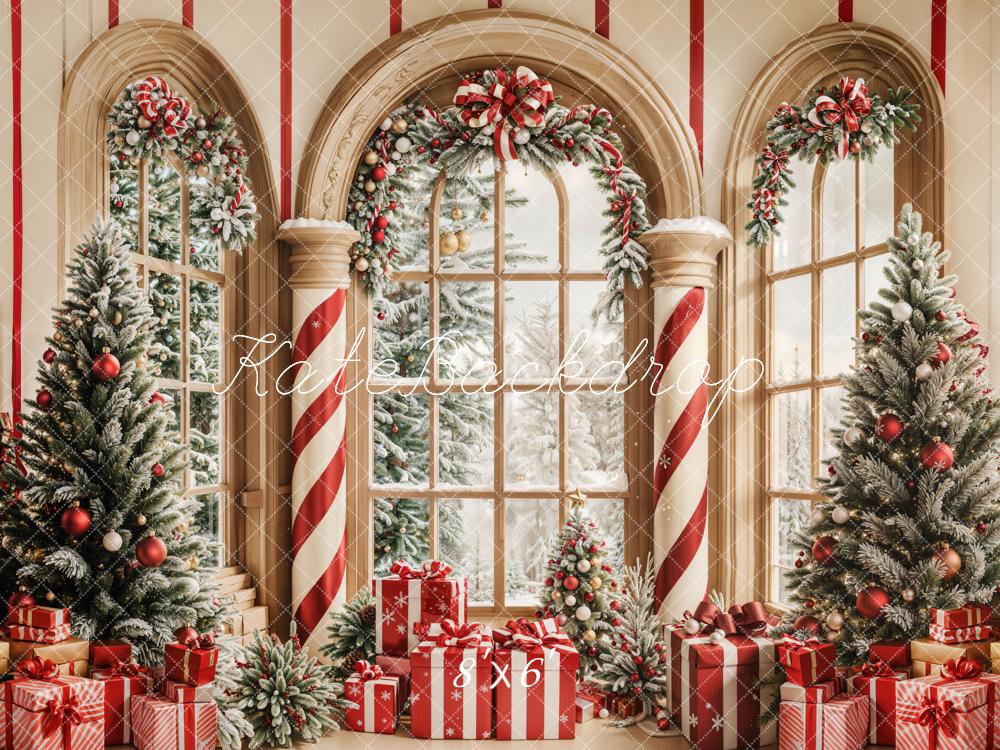 Kate Christmas Gift Arched Windows Backdrop Designed by Emetselch