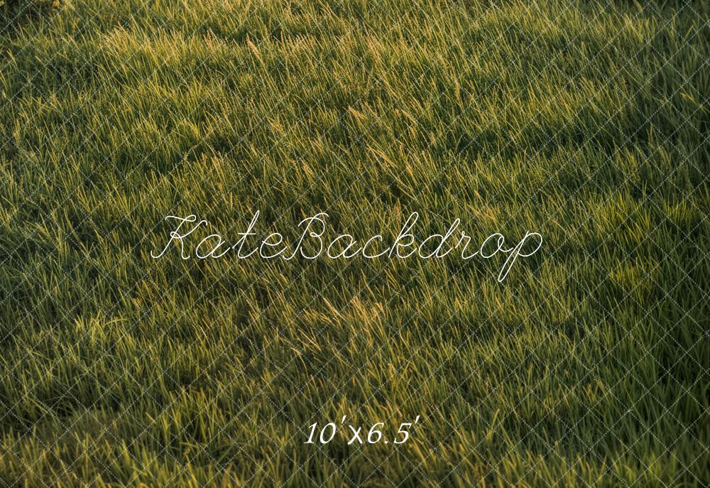 Kate Fleece Grassland Backdrop