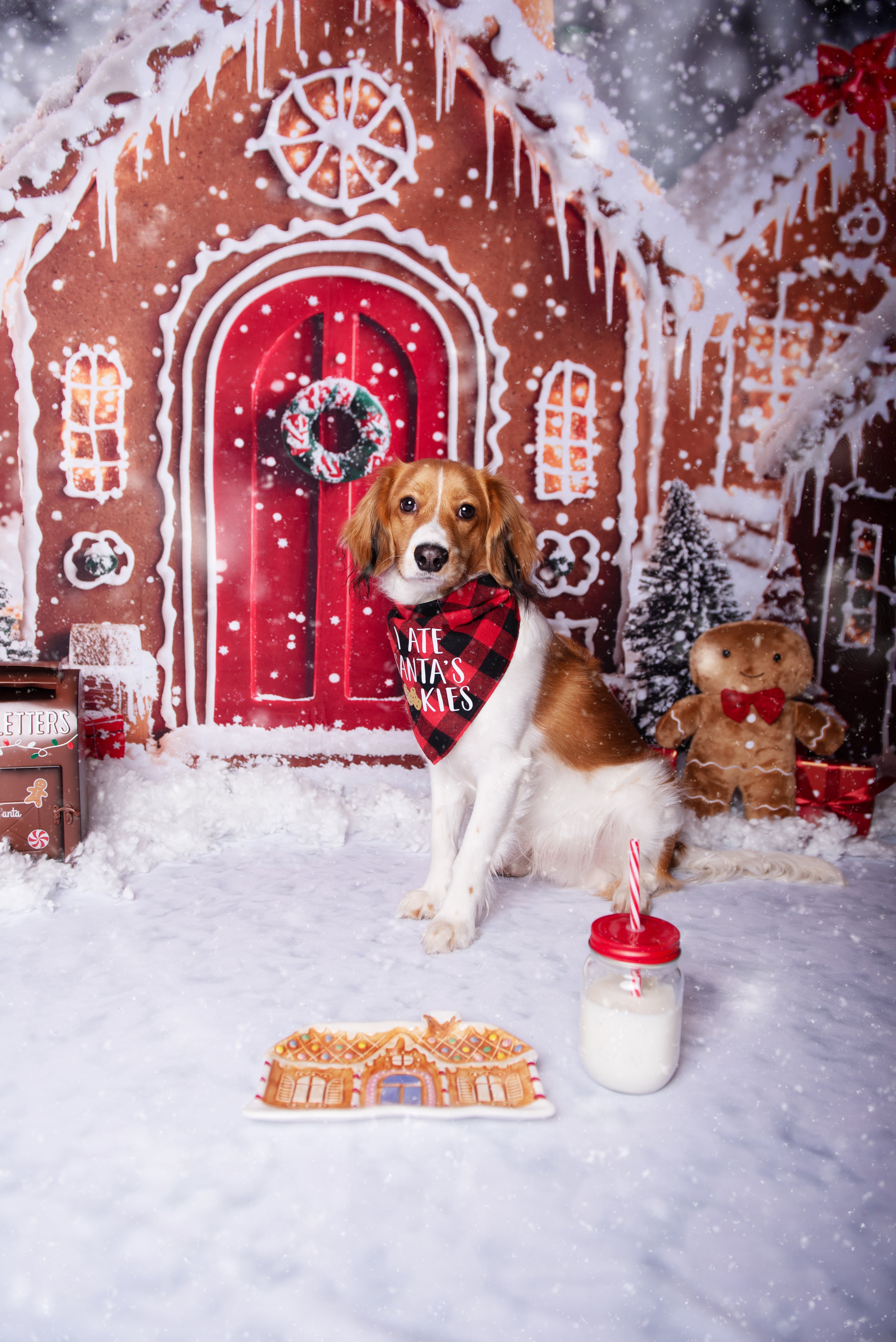 Kate Christmas Gingerbread Houses Snowy Backdrop+Winter Snow Floor Backdrop