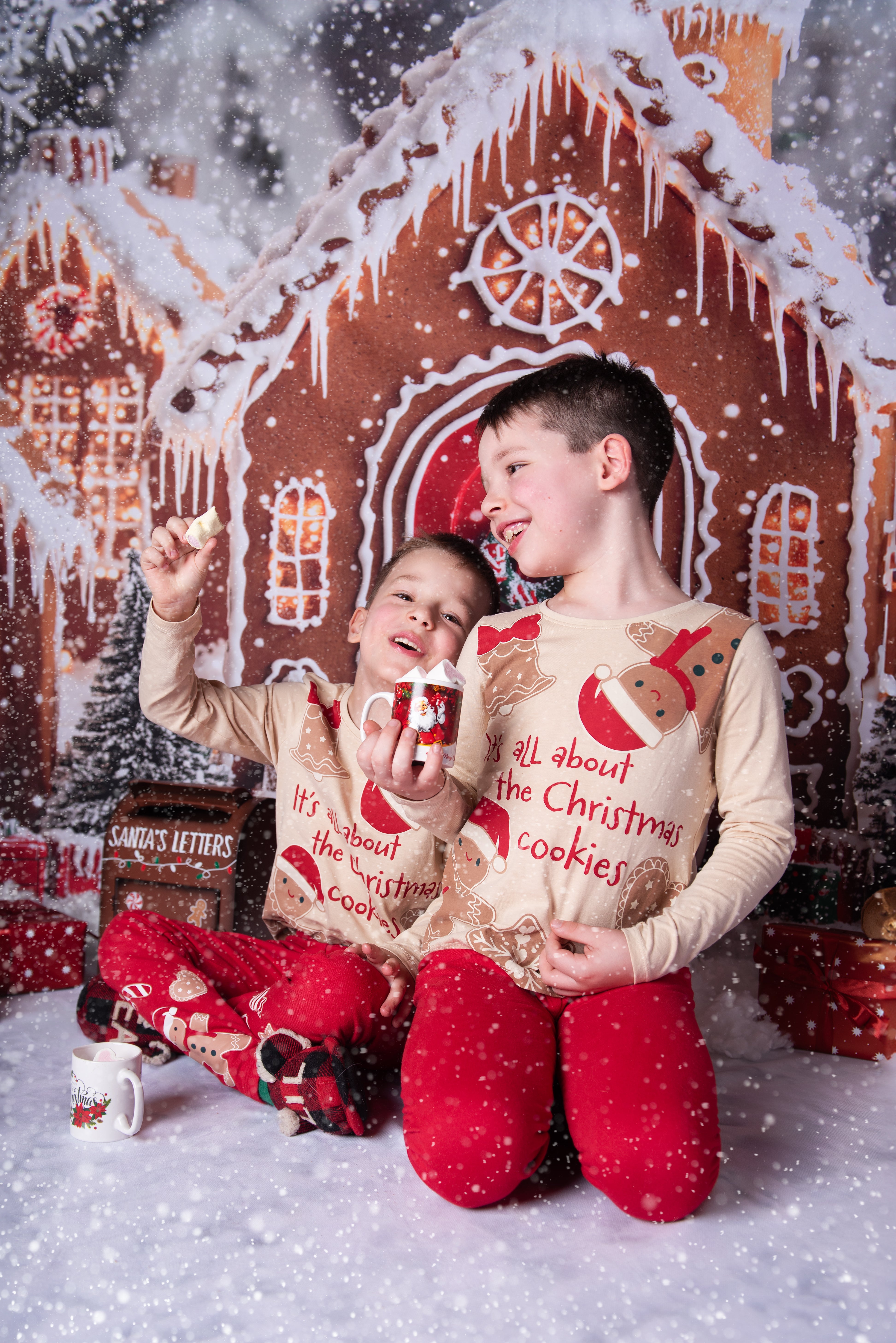 Kate Christmas Gingerbread Houses Snowy Backdrop+Winter Snow Floor Backdrop