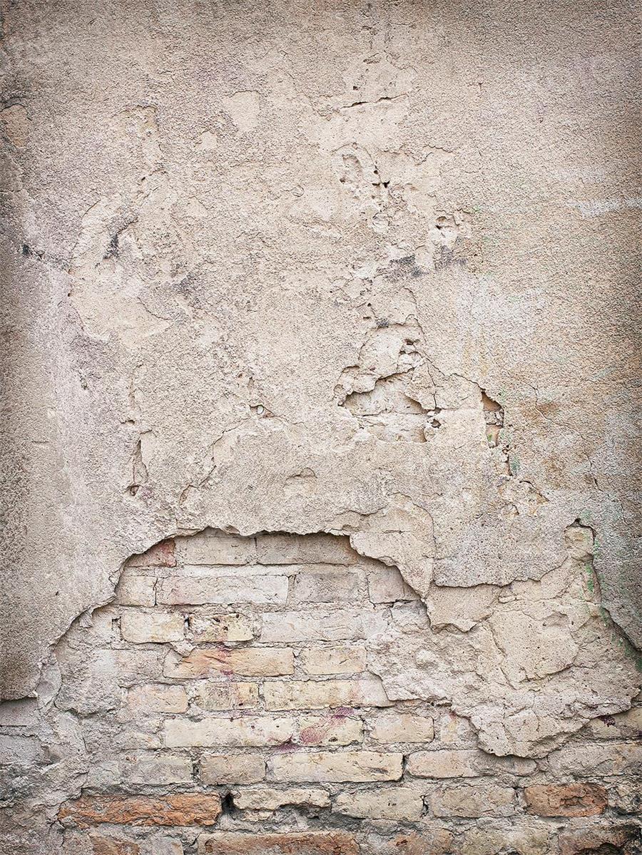 Kate Dilapidated Brick Wall Backdrop for Photography