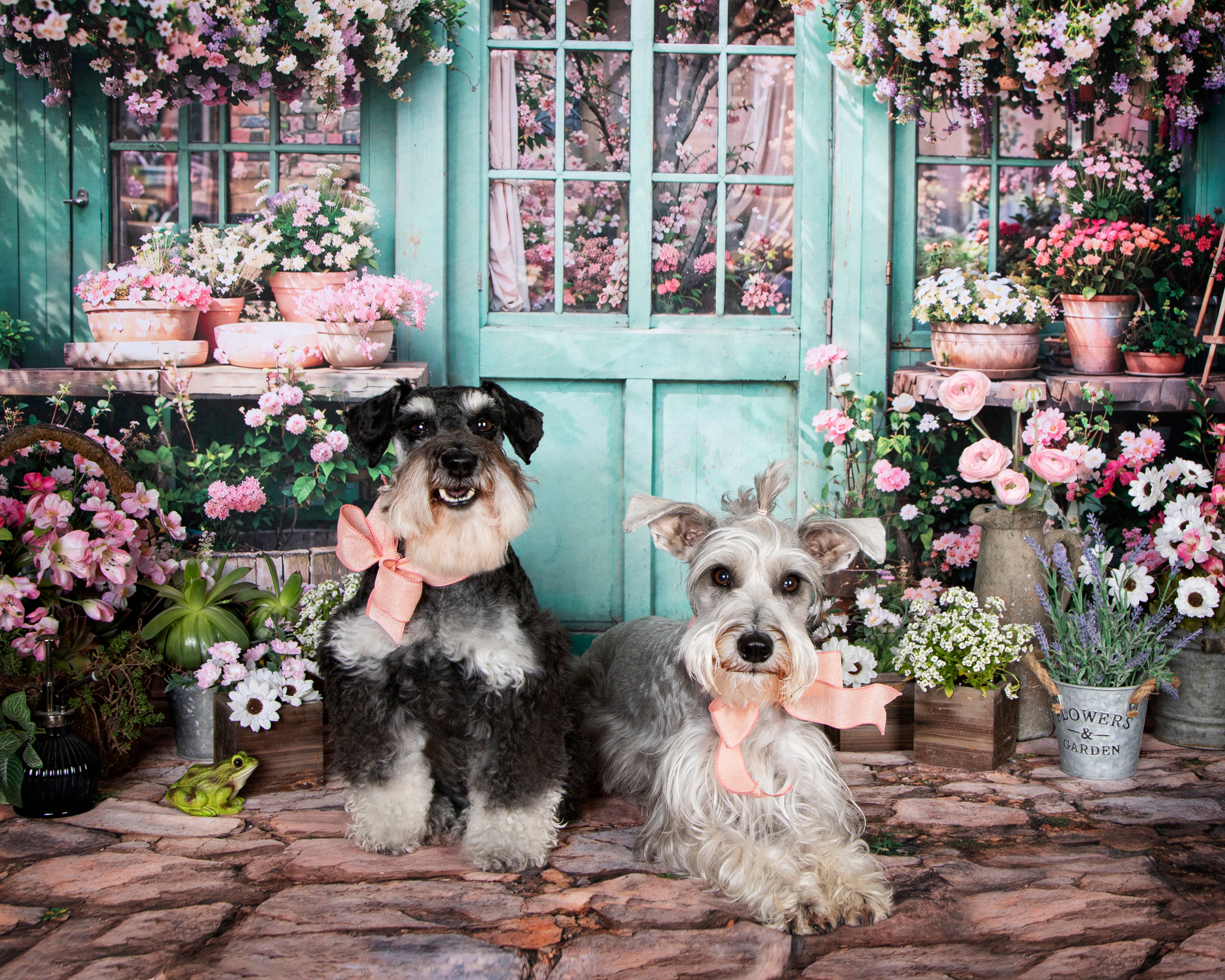 Kate Spring Flowers Green Wooden Door Backdrop Designed by Emetselch