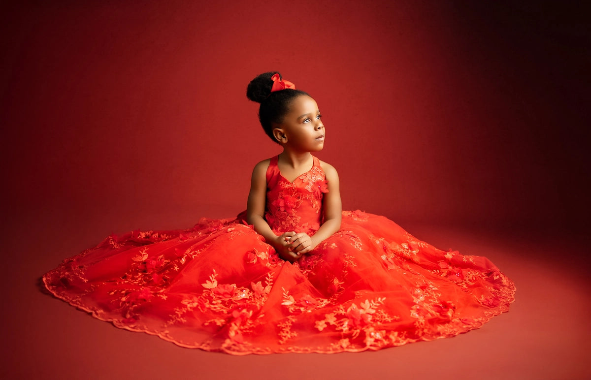 Kate Valentine's Day Red Embroidered Kids Dress for Photography