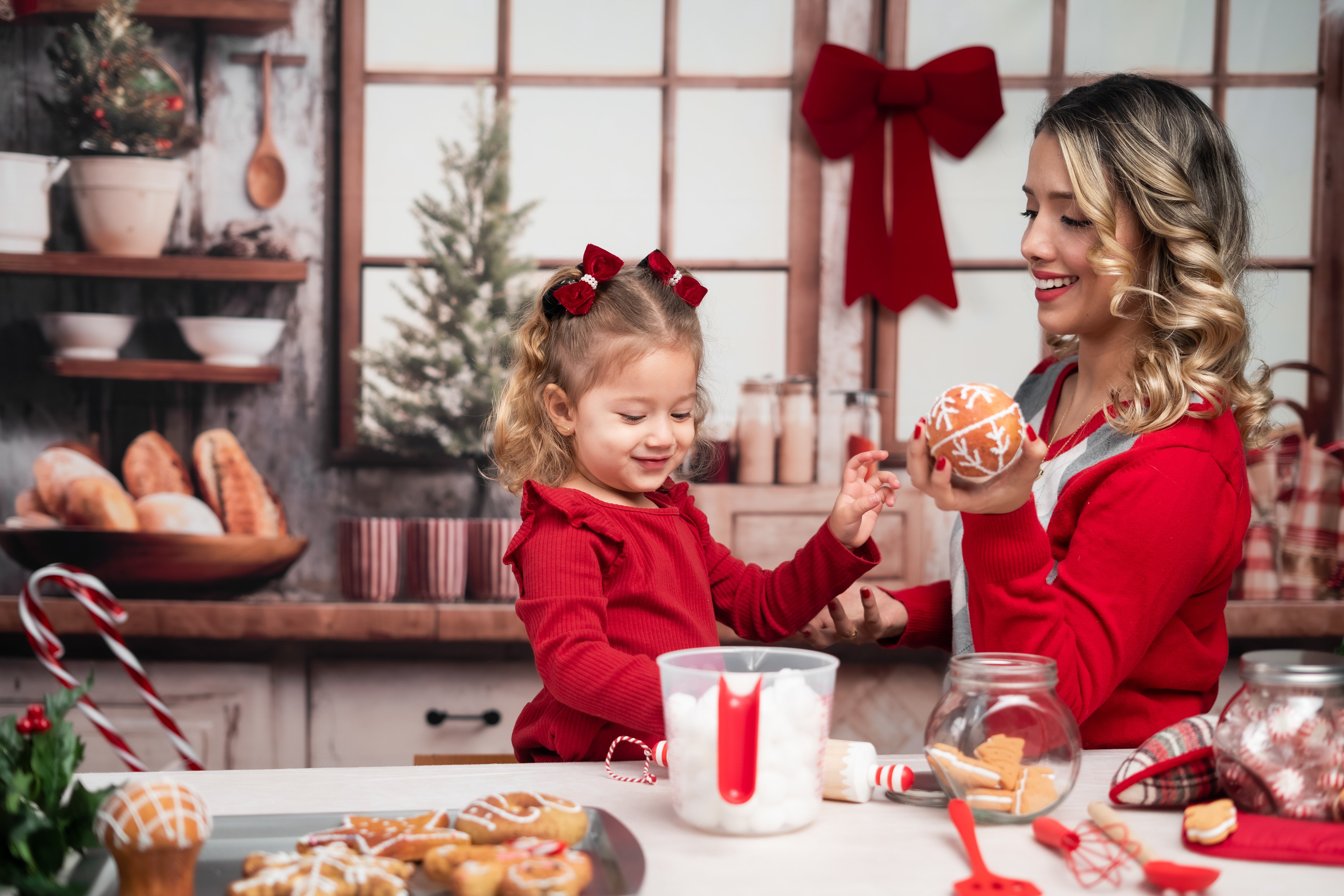 Kate Fleece Retro Christmas Kitchen Window Backdrop Designed by Emetselch