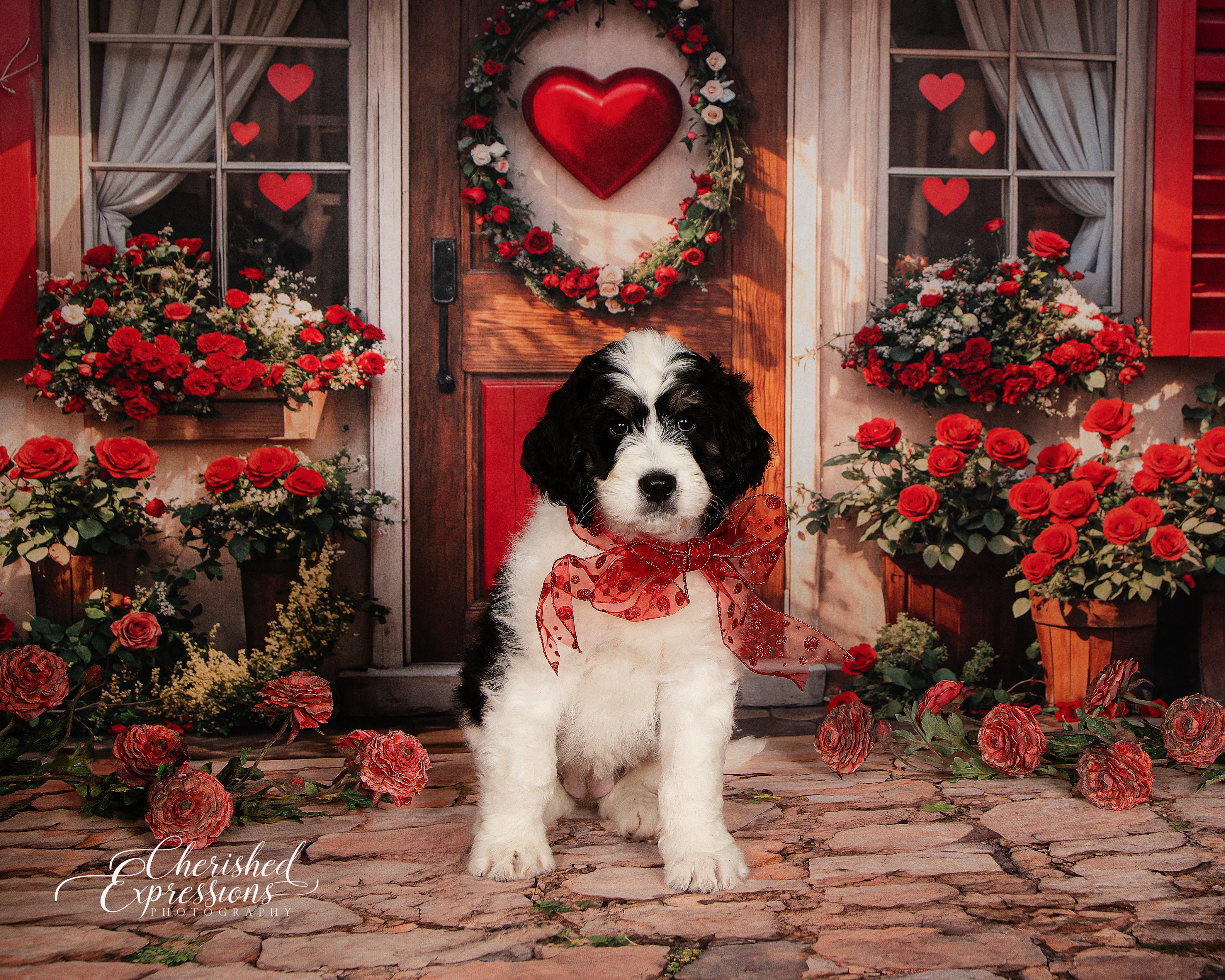 Kate Valentine Red Roses Heart Door Backdrop Designed by Emetselch