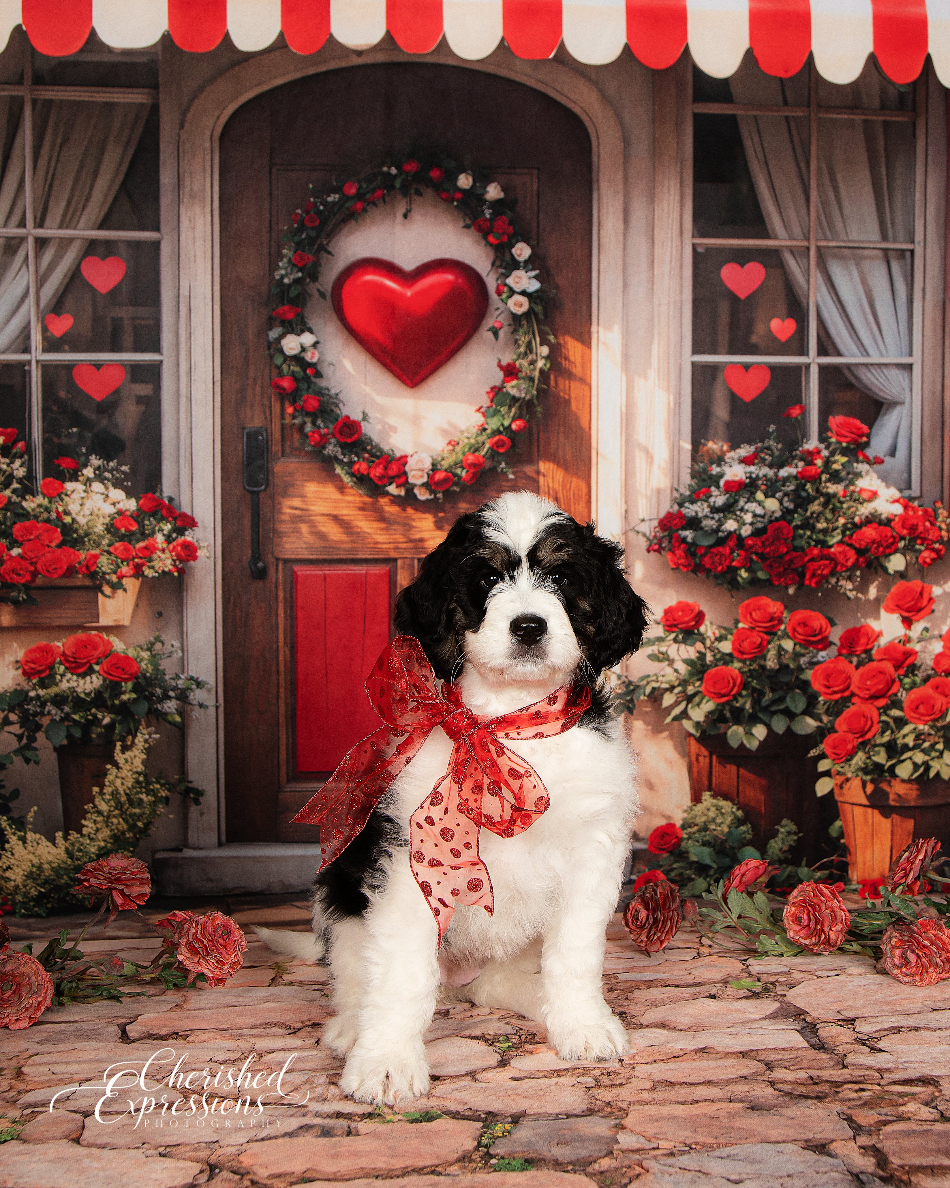 Kate Valentine Red Roses Heart Door Backdrop Designed by Emetselch