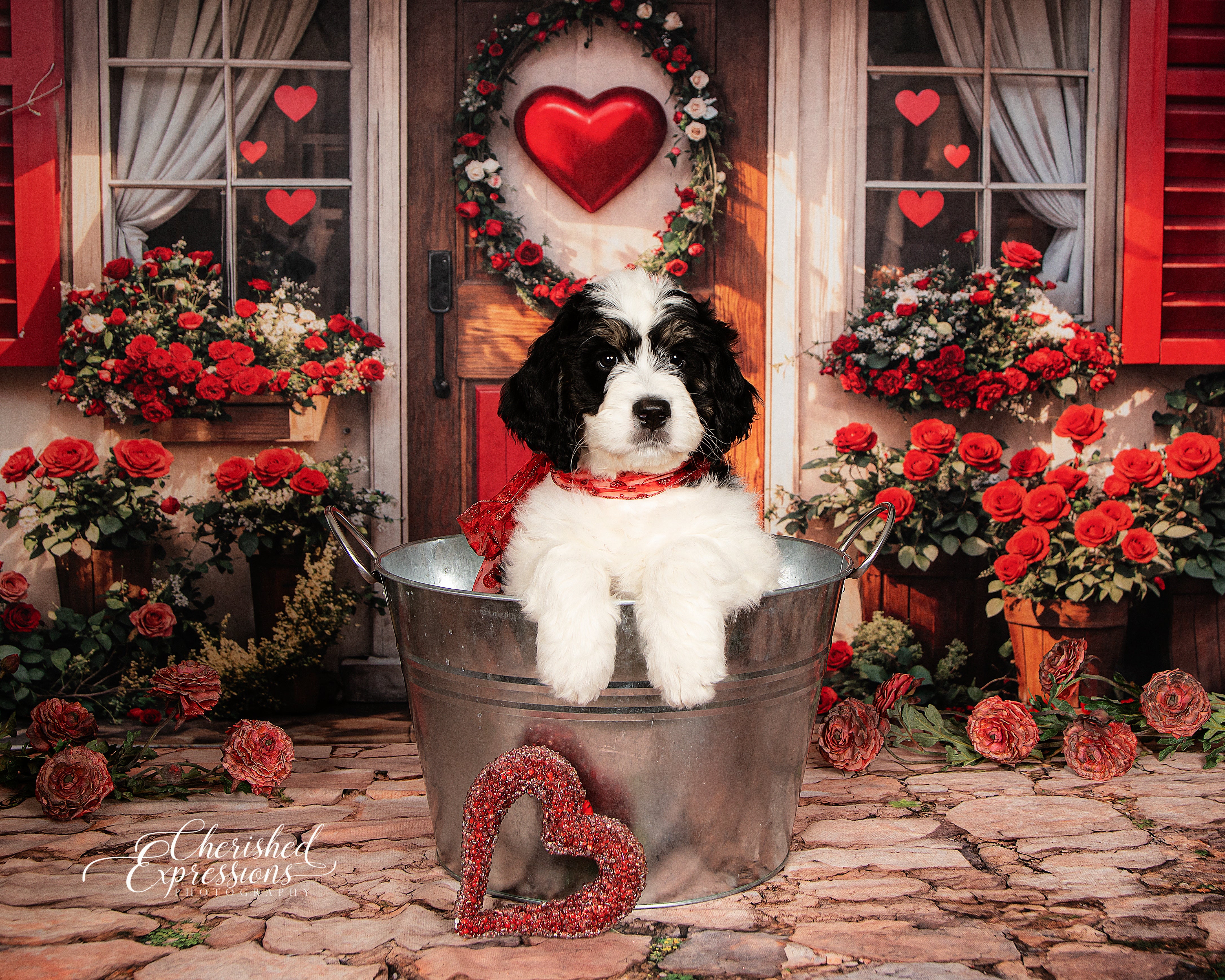 Kate Valentine Red Roses Heart Door Backdrop Designed by Emetselch