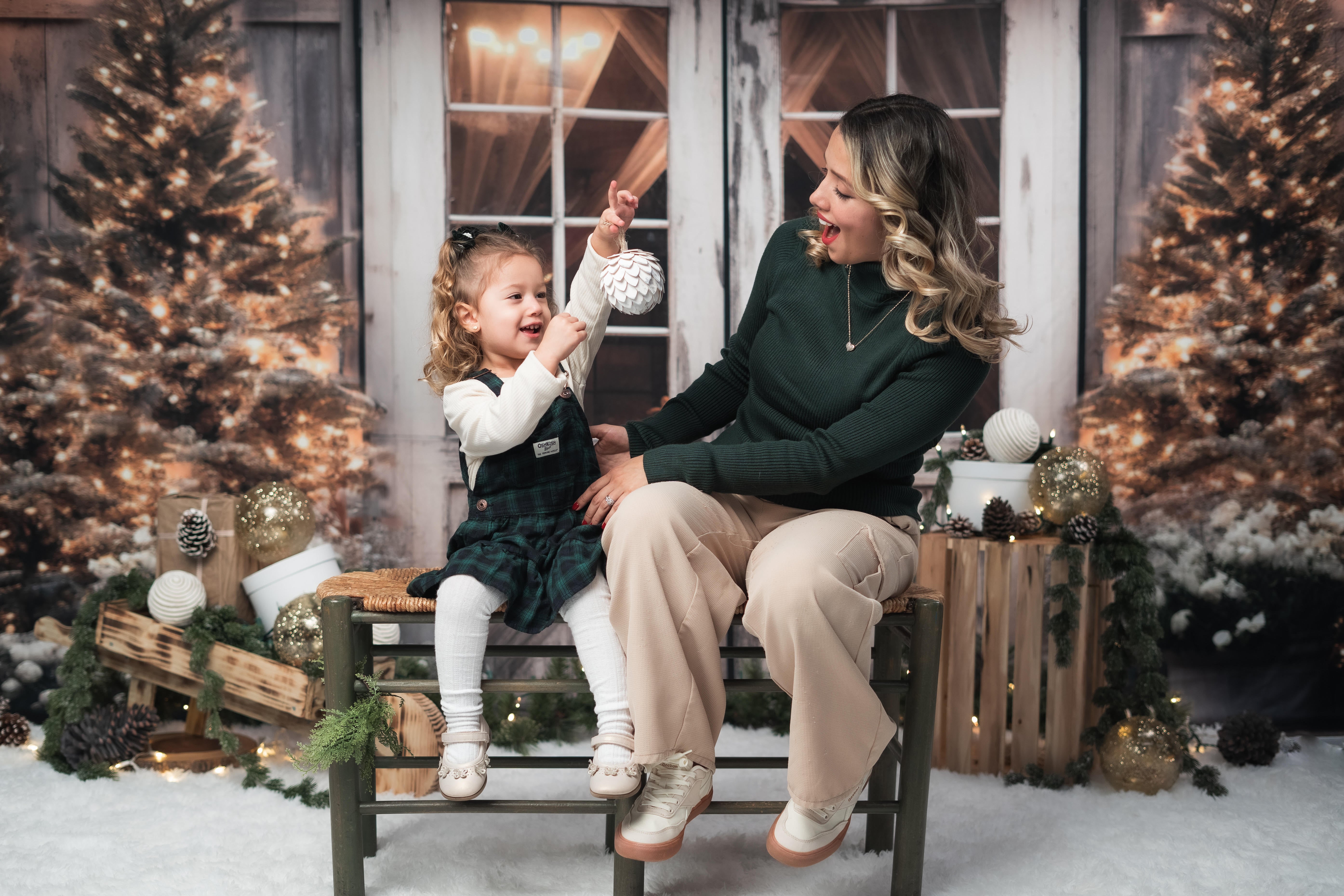 Kate Christmas Barn with Lights and Christmas Tree Fleece Backdrop Designed by Emetselch