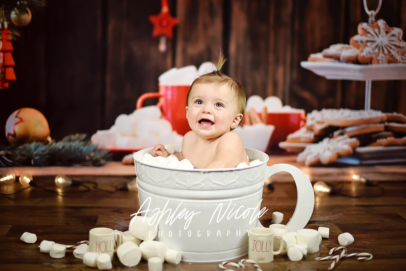 Kate Christmas Cookies Wood Hot Cocoa Backdrop for Photography - Kate Backdrop AU