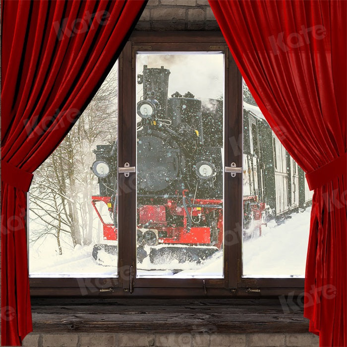 Kate Winter Snow Backdrop Train Outside Window for Photography - Kate Backdrop AU